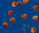 FlyingMuffins Screensaver